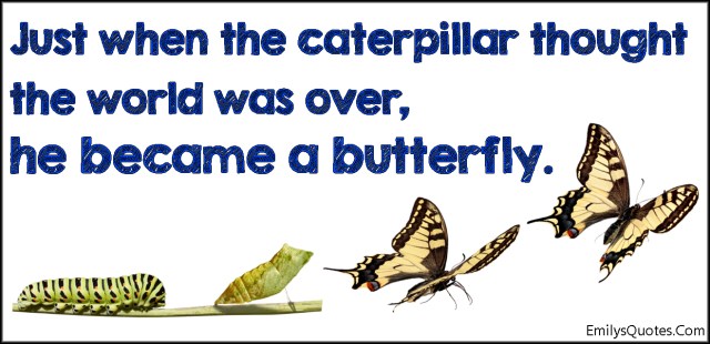 emilysquotes-com-amazing-great-inspirational-caterpillar-thought-world-over-end-butterfly-hope-encouraging-unknown