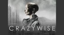 Crazywise Main Logo