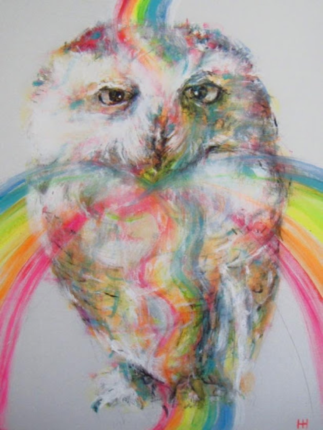 HHOwl.png