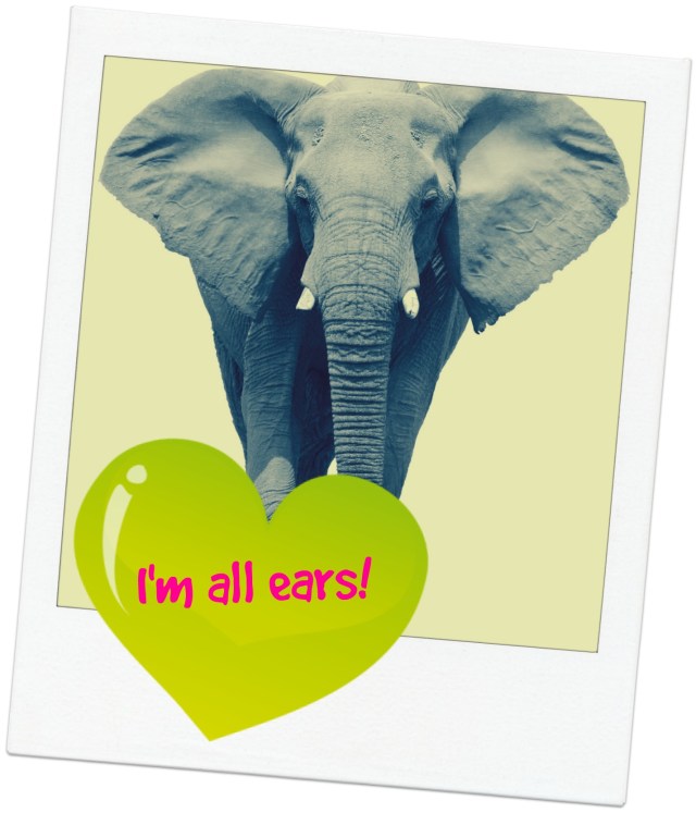 I'm All Ears Elephant .jpg
