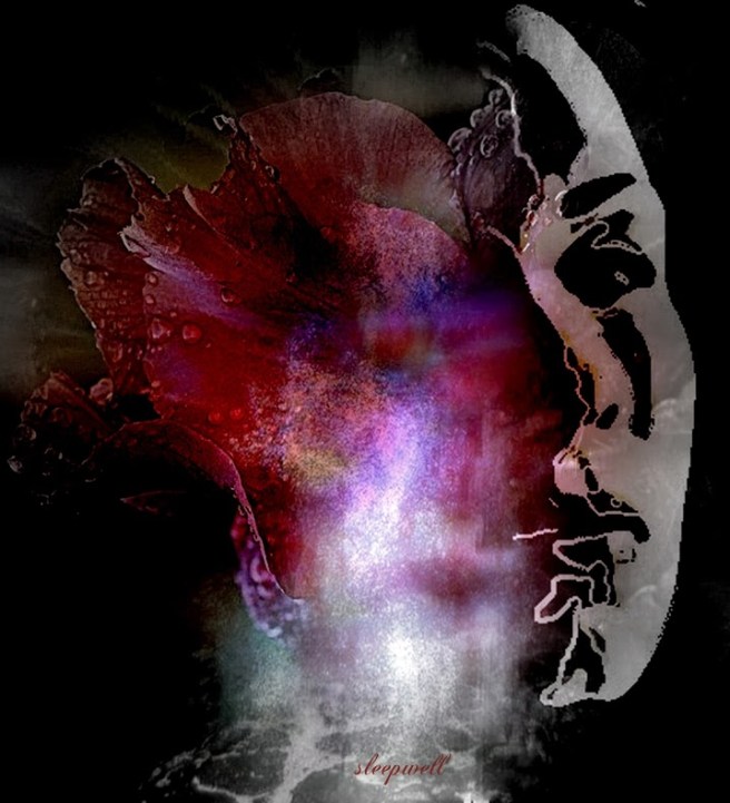 Emerging P8 clara teleki