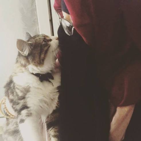 12308601_1039900469363905_7104745129429364370_n