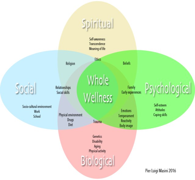 3eada5_80bf28c5e0ad43129fd49f8373ef84f8~mv2